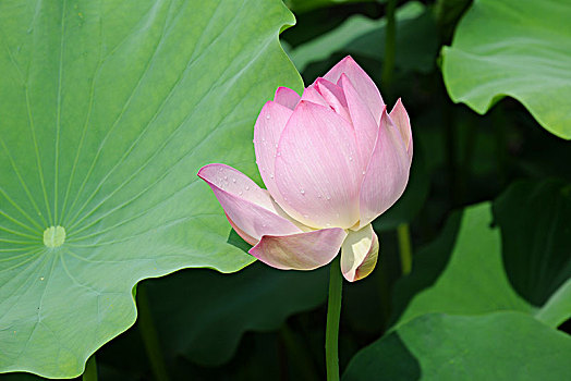 lô đề online uy tín